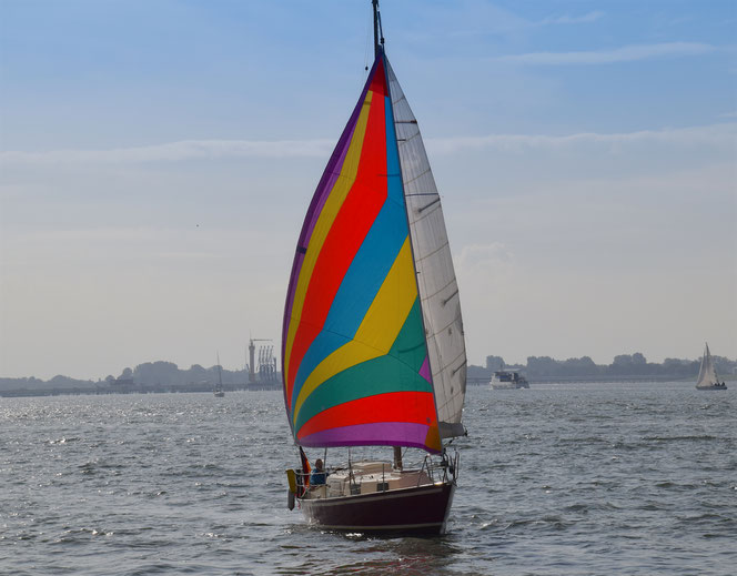 Ein Farbtupferl auf dem grauen Wasser