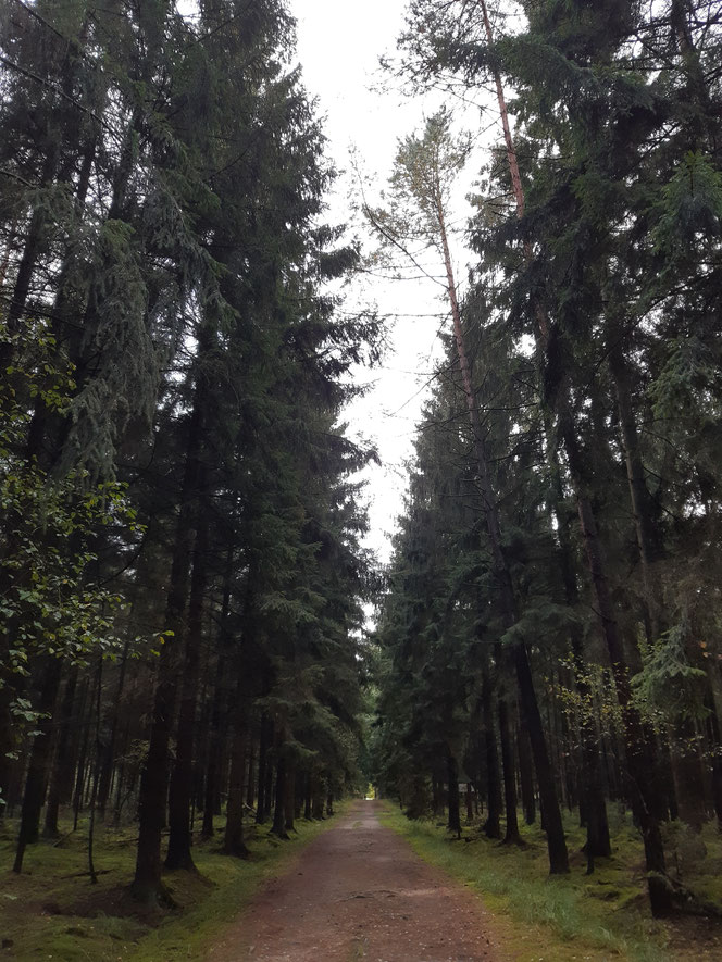 Waldgut Sunde mit Naturlehrpfad