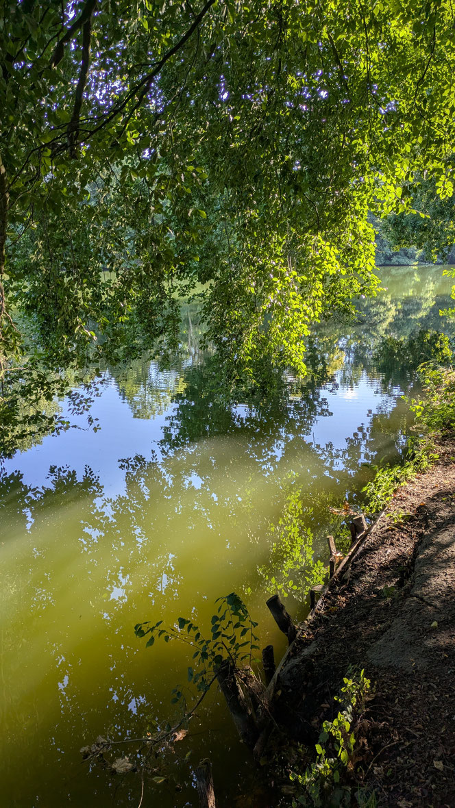 Horstsee, Stade, Spätsommer, Altweibersommer