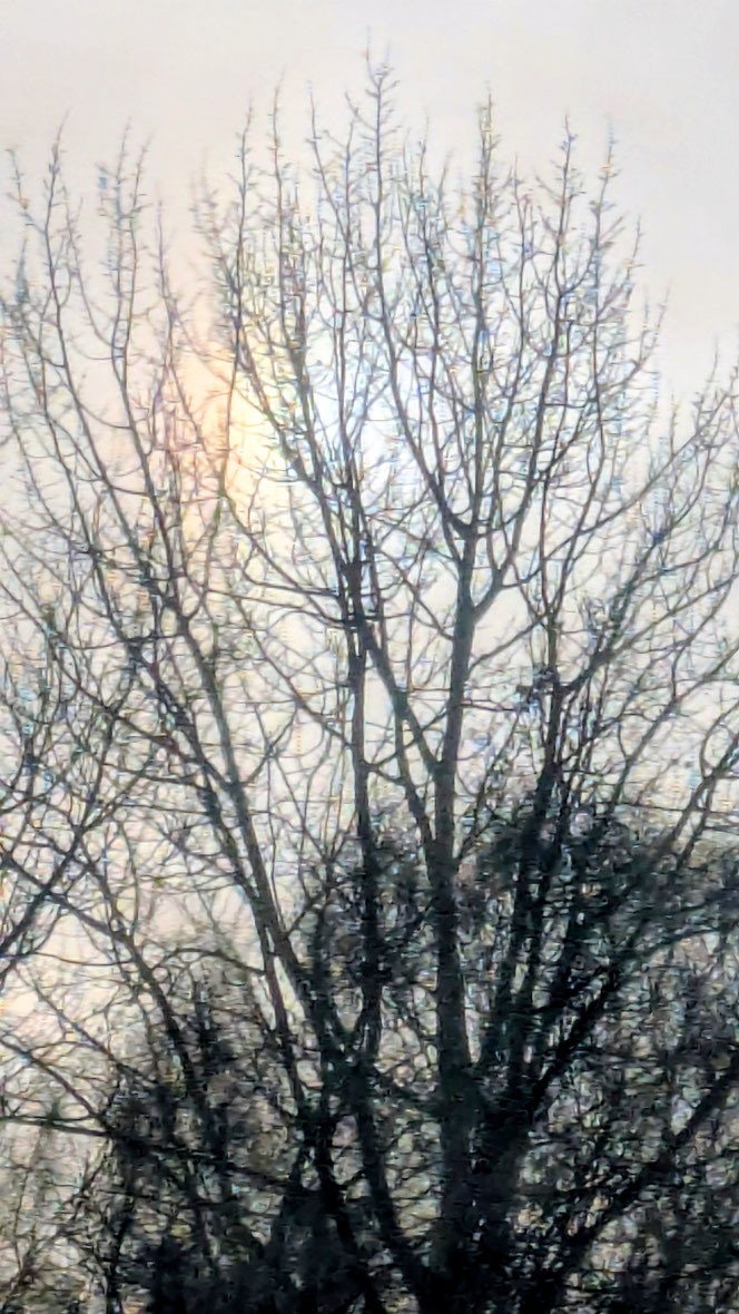 Regenbogenfleck, Regenbogen