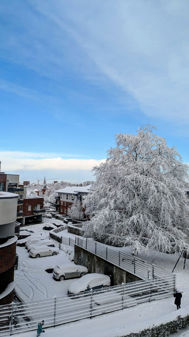 Schnee, verzaubert, Winter, Stade
