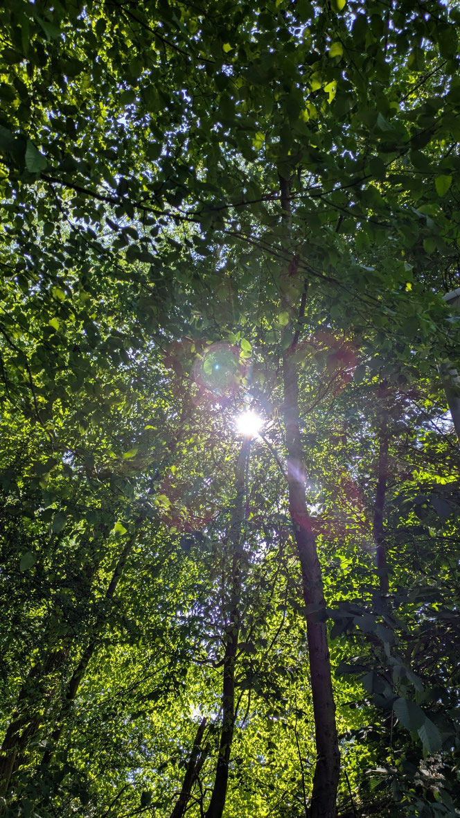 30° (vor ein paar Tagen... oder Wochen...?)