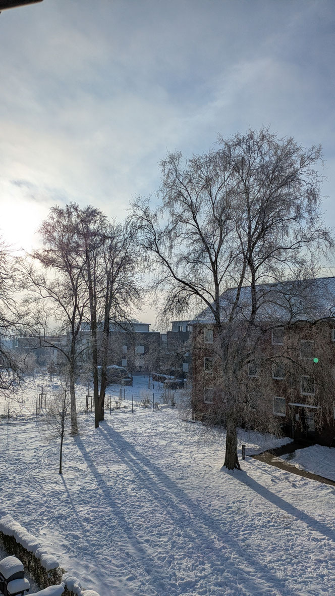 Mittags bei -9°