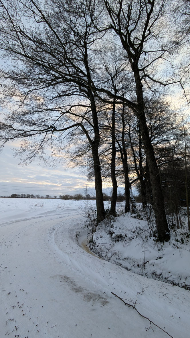 Gestern beim Morgenspaziergang bei ca. -6°