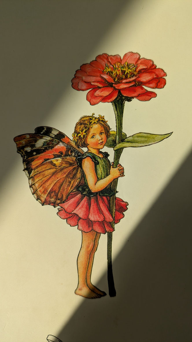 Vorfreude auf die Blütenkinder...