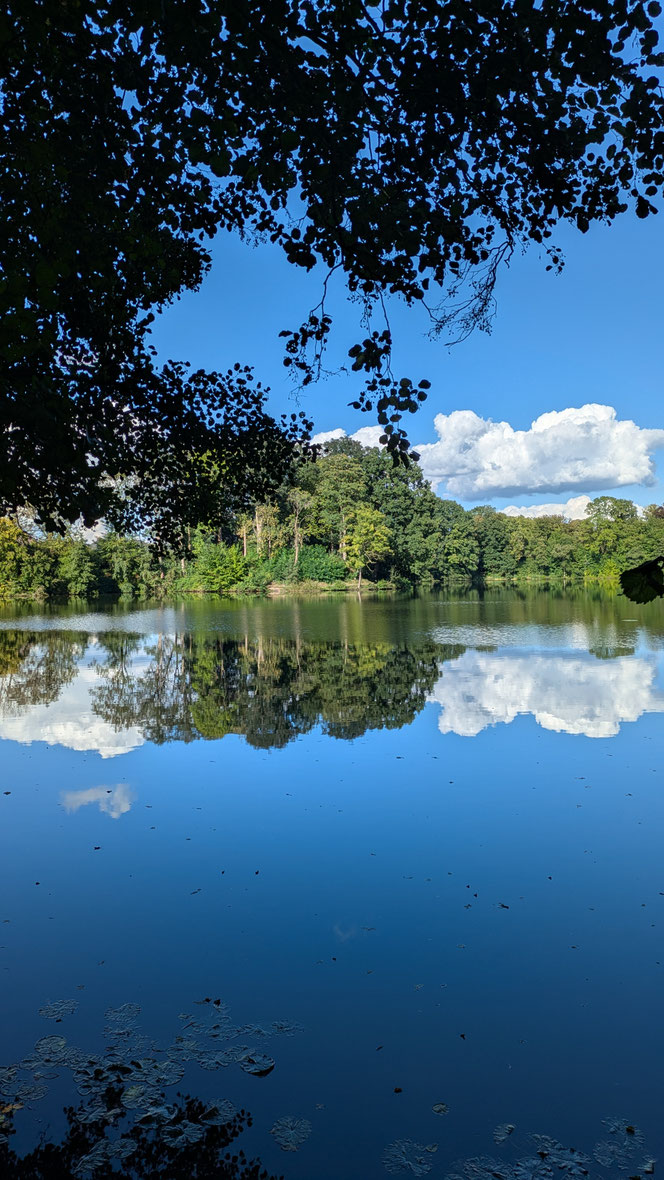 Horstsee, Stade, Spätsommer, Altweibersommer