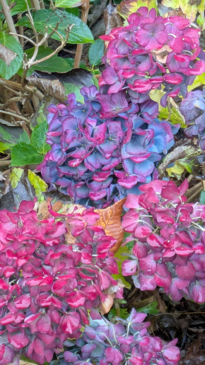 Novemberfarben
