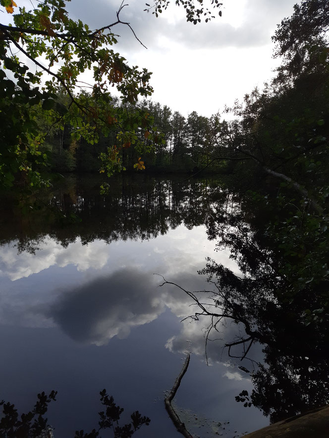 Waldgut Sunde mit Naturlehrpfad