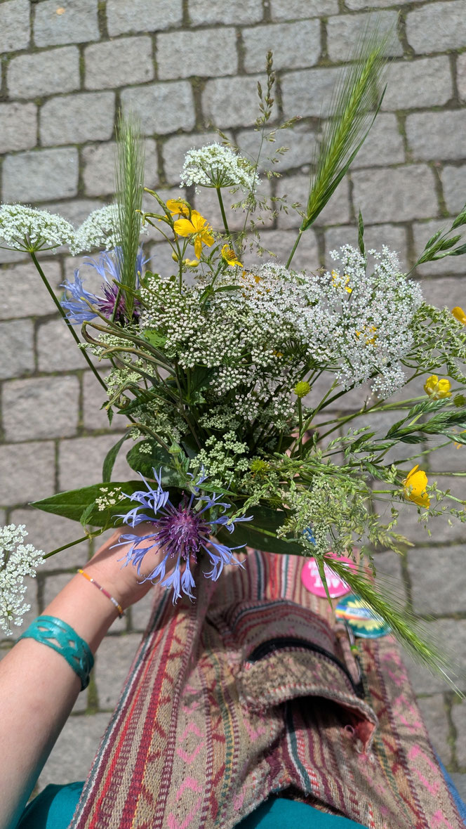 Mein wöchentlicher Wildblumenstrauß vom Wegrand