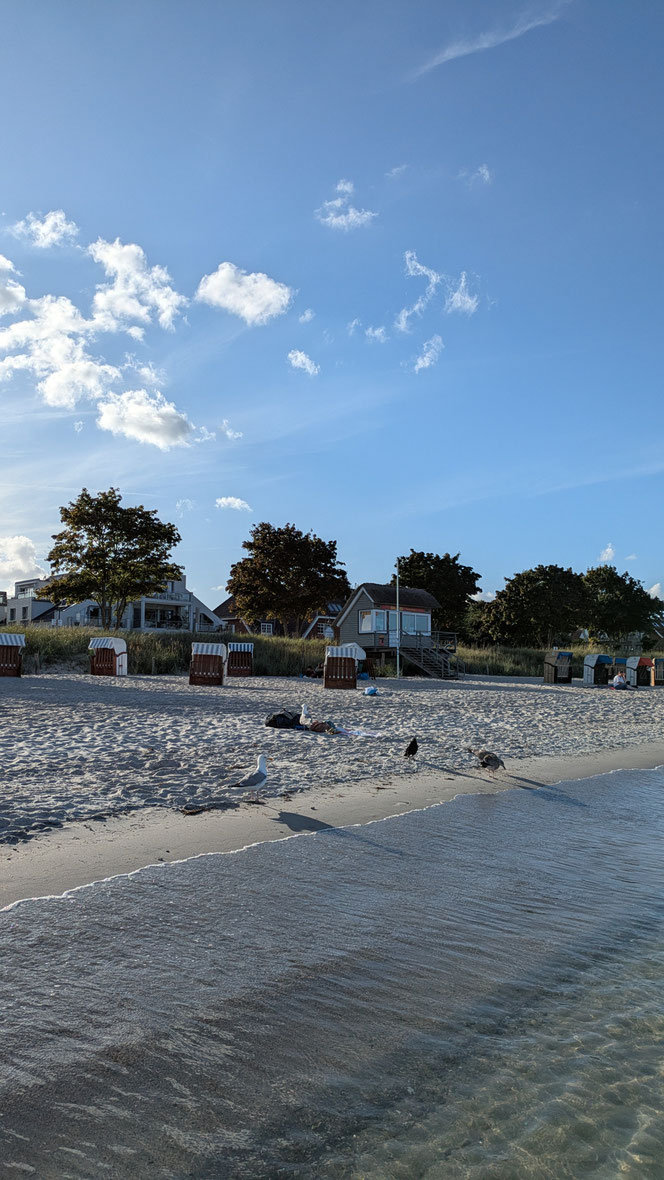 Haffkrug