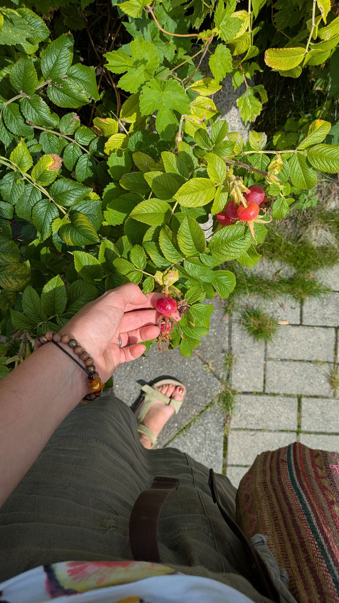 Der Spätsommer naht...