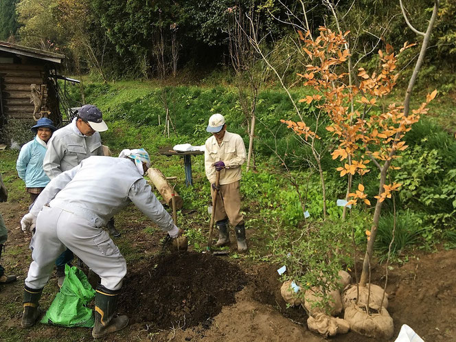 いちはら里山クラブ　記念樹　植栽