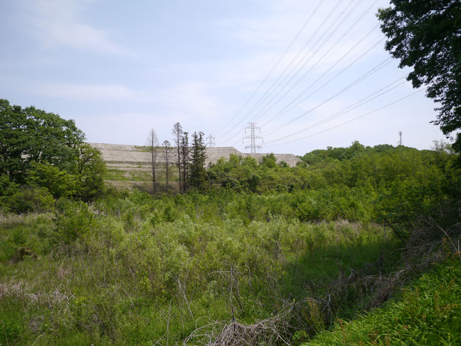 能満　市原市　残土　産廃　湿地　絶滅危惧種