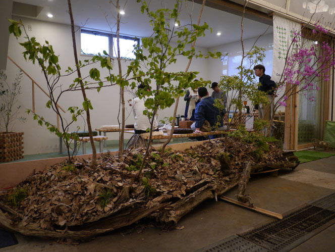 co-saten 　庭　森　植栽　武田屋作庭店　米沢の森　市原　米沢の森の未来を考える