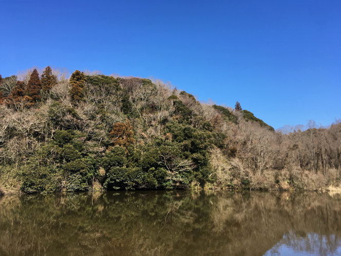 米沢の森　腰巻池　中野台城