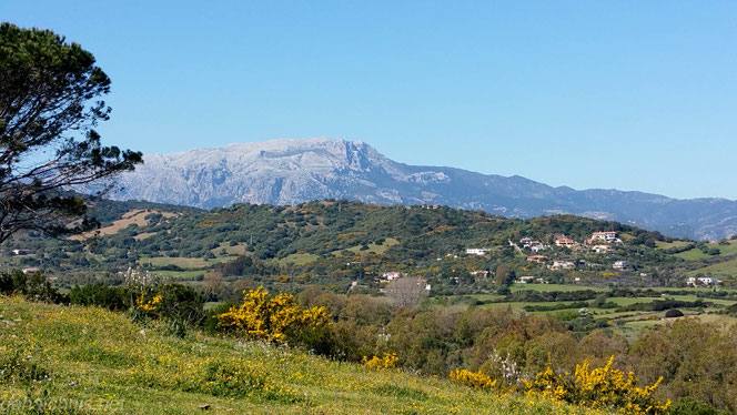 Von der Küstenststraße führt der Weg rechts hinab nach Santa Lucia. Blick ins Hinterland