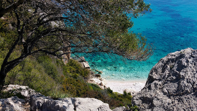Oberhalb der Cala Fuili