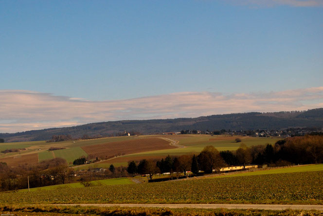 Sargenroth, rechts im Bild