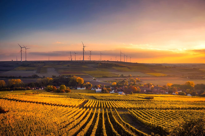 Sonnenuntergang - Umwelt - Ökologischer Holzbau, Raumklima, Ökohaus, Biohaus, Umwelt, Blockhaus, Wohnhaus, Holzhaus, Blockhausbau, Holz, Haus, Eigenheim, Architektenhaus, Planung, Hausbau, Zuhause, Energie, Energiekosten, Ökologisch Bauen - Thüringen