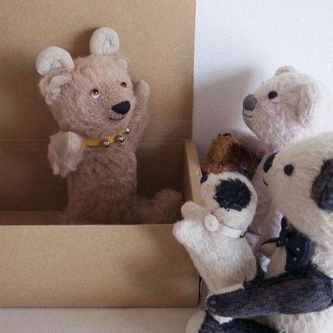 fairysaddle teddybear