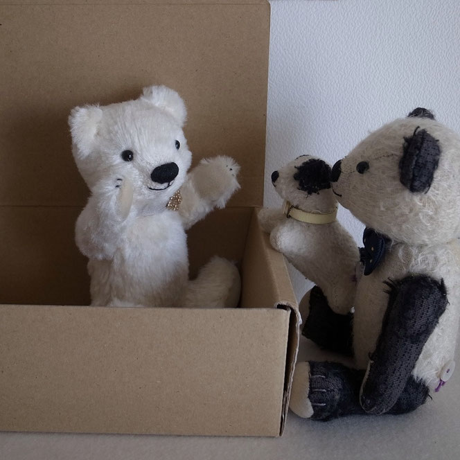 fairysaddlebear