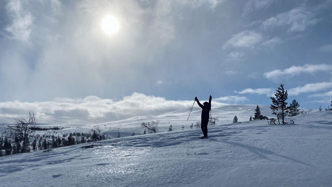 Nationalparks Töfsingdalen