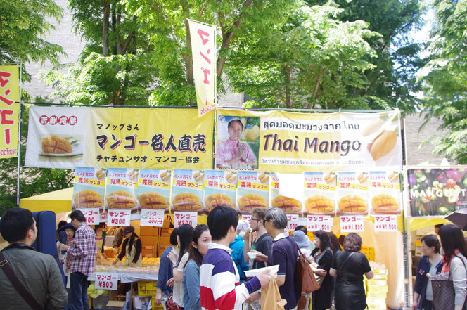 マンゴー名人直売 Thai Mango　というインパクトのあるお店。「第14回 タイ・フェスティバル2013年 東京・代々木」の会場写真