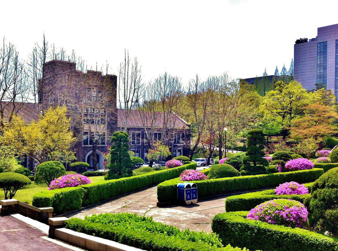 yonsei university