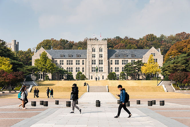 đại học Korea