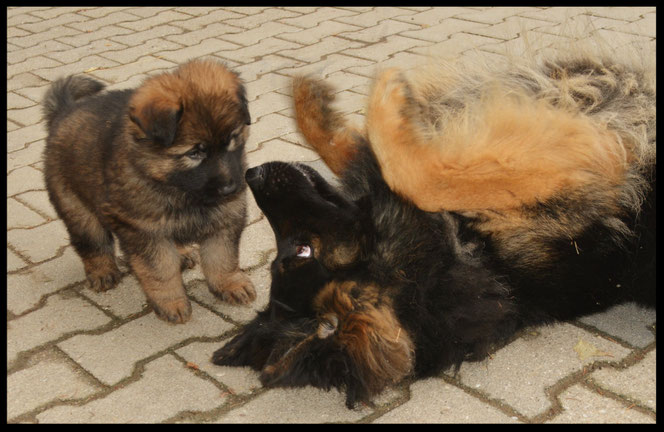 Artus und sein Sohn Aragonn