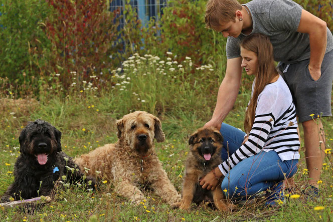 Duke aus dem Waldquellental (Amelie/Waro). Der erste Tag in seiner  Familie