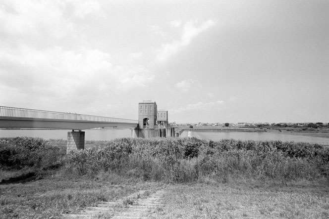 Rollei RPX 100