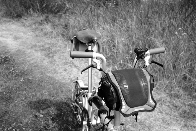 Fomapan 400