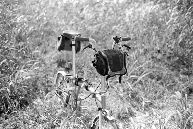 Rollei RPX 100
