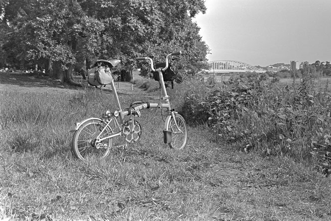 Rollei RPX 100