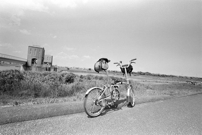 Rollei RPX 100