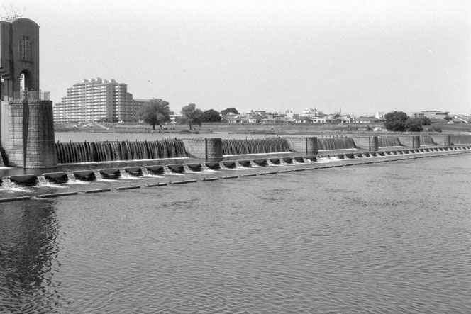 Fomapan 400