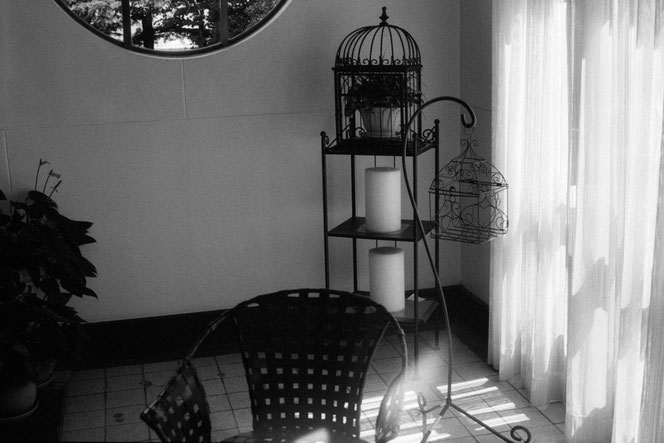 Fomapan 400