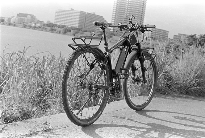 Rollei RPX 100