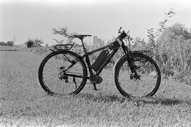 Rollei RPX 100