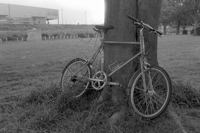 Rollei RPX 100