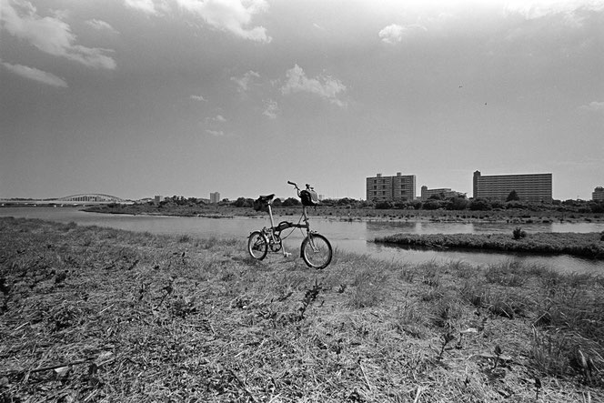 Rollei RPX 100