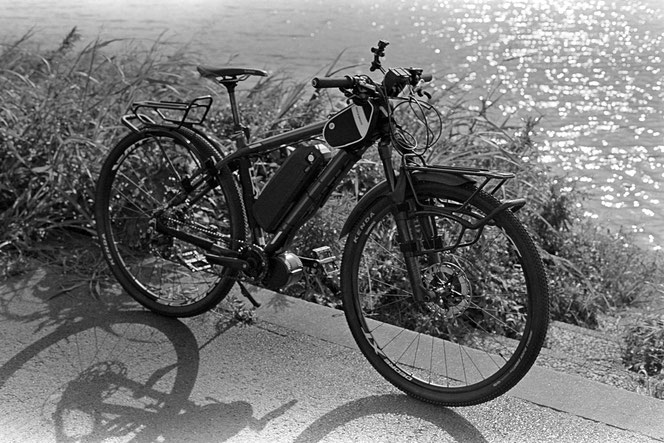 Rollei RPX 100