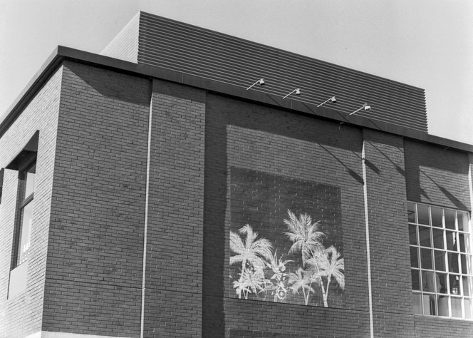 Agfa Copex Rapid