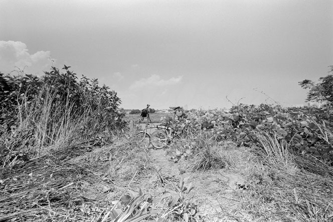 Rollei RPX 100