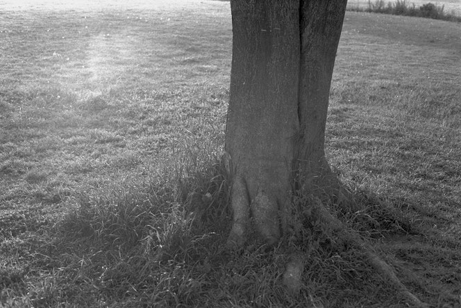 Rollei RPX 100