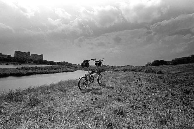 Rollei RPX 100