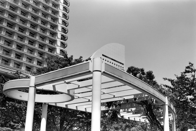 Agfa Copex Rapid