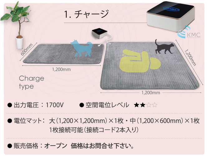 DENBAレンタル受付 - 天療整体施術院 DENBAレンタル受付 - 天療整体施術院