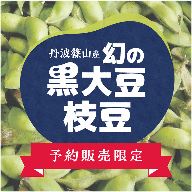 丹波篠山産　幻の黒大豆枝豆